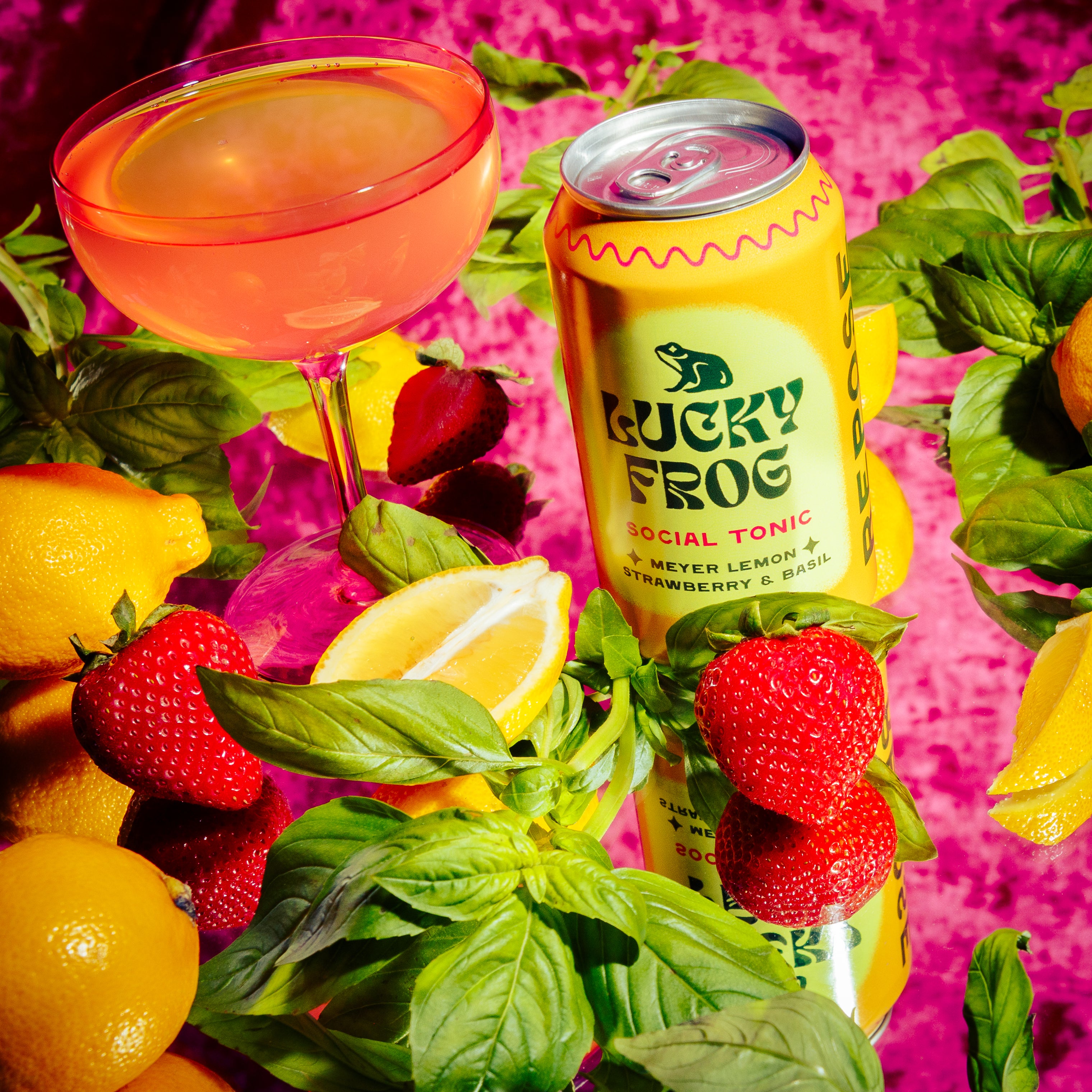 Meyer Lemon   Strawberry & Basil                           12 Pack
