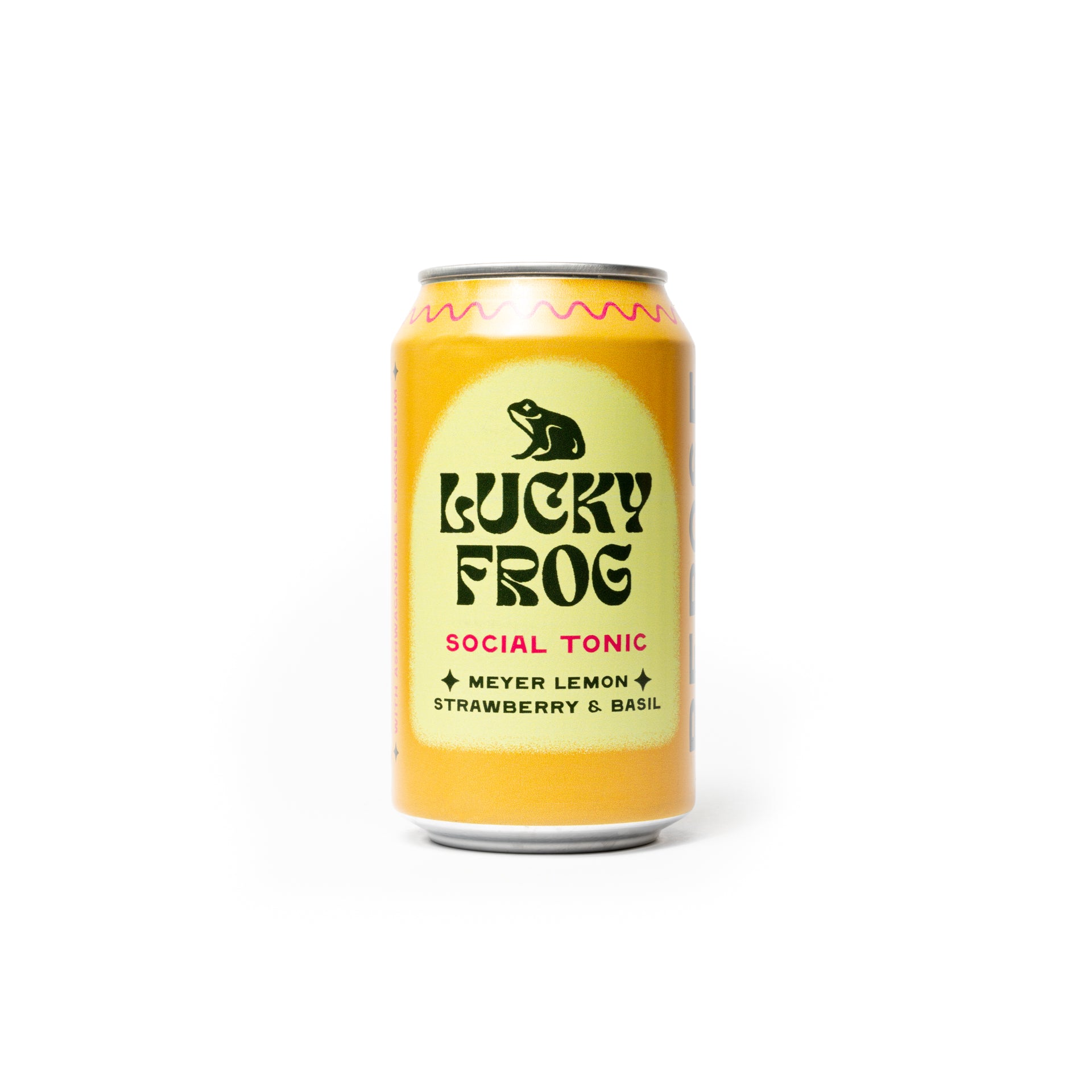 Meyer Lemon           Strawberry & Basil                     24 Pack